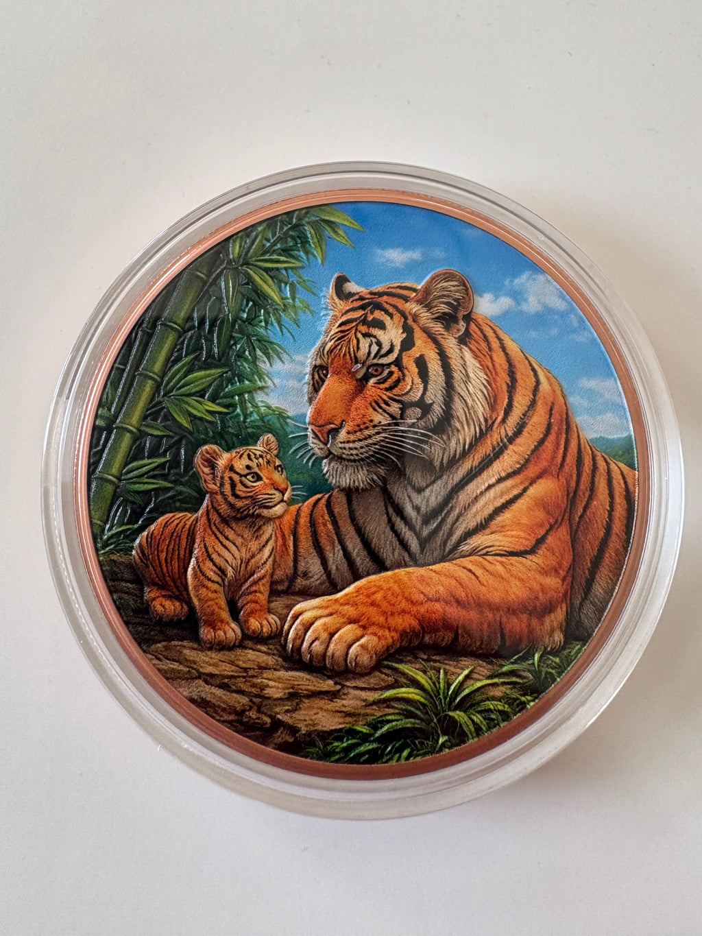 5 Oz Kupfermünze  Tiger mit Jungtier coloriert