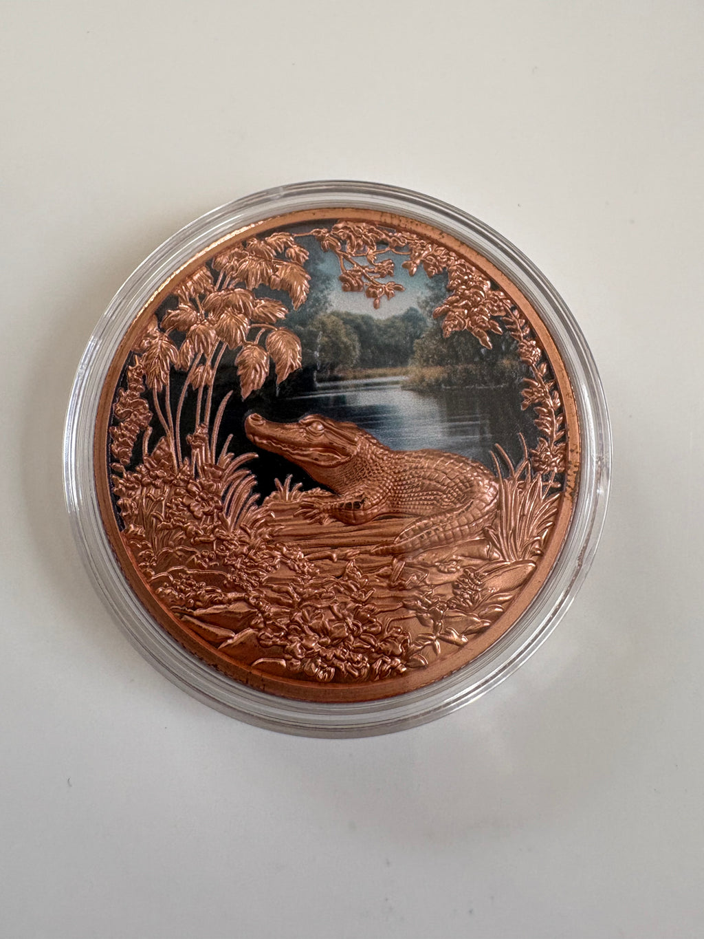 1 Oz Kupfermünze Krokodil coloriert