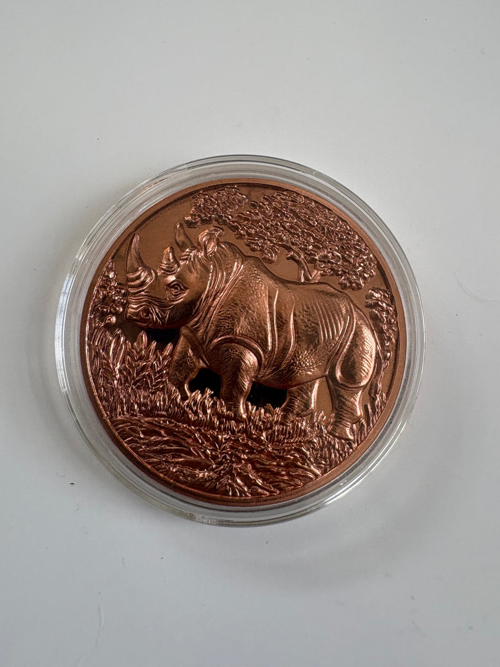 1 Oz Kupfermünze Nashorn