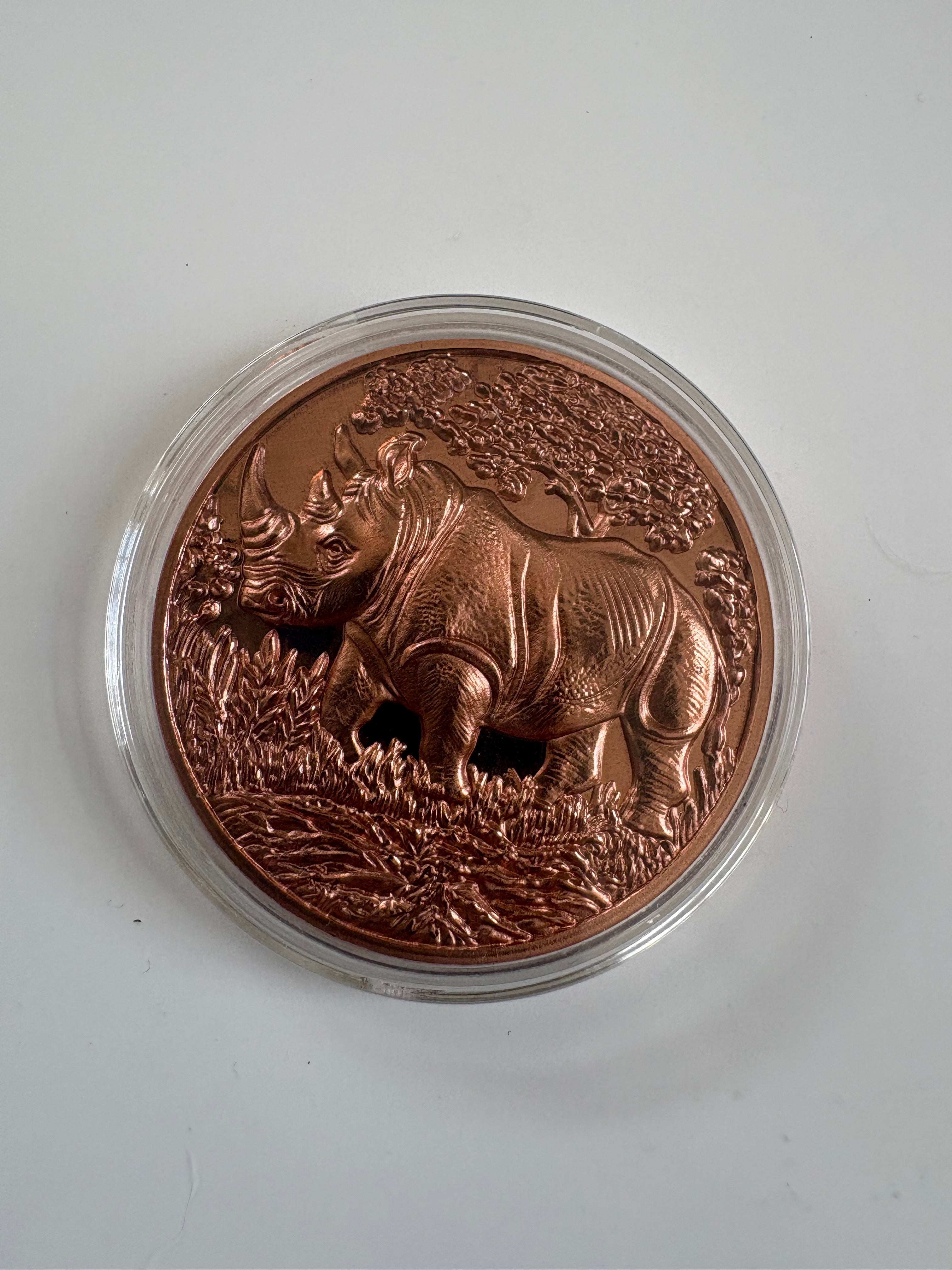 1 Oz Kupfermünze Nashorn
