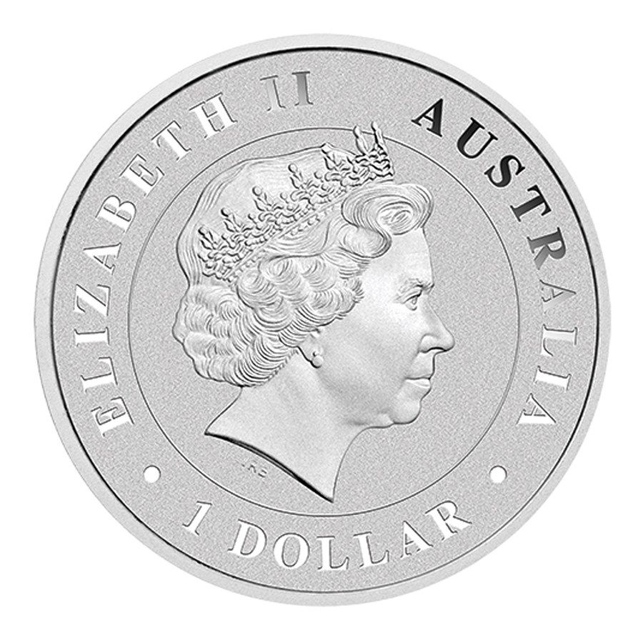 1 Oz Silbermünze "Trichternetzspinne" 2015